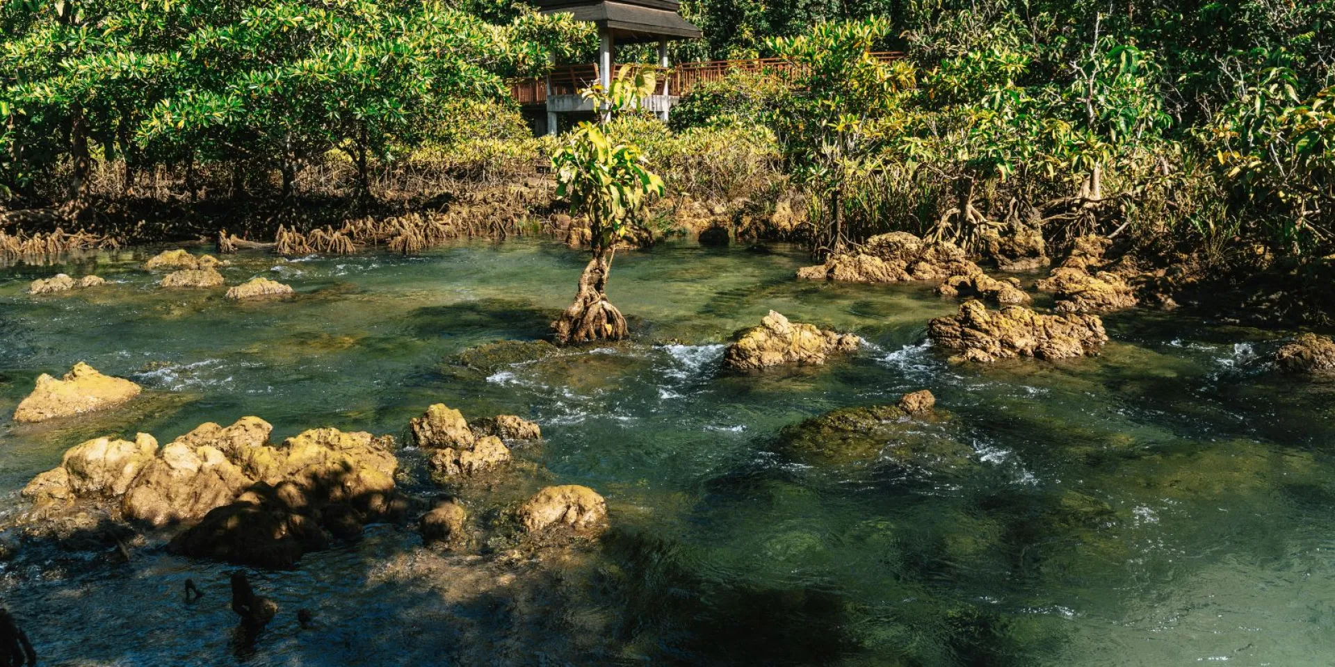 Krabi is a Muslim-friendly destination in southern Thailand, offering beautiful natural attractions, halal food options, prayer facilities, and welcoming services that allow Muslim travelers to enjoy their holiday comfortably.